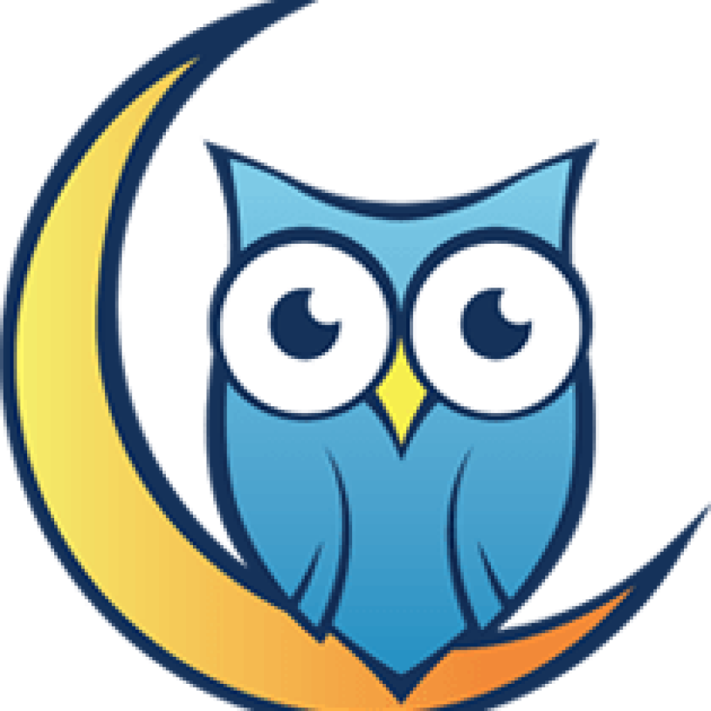 Night Owl T-Shirt Quilts
