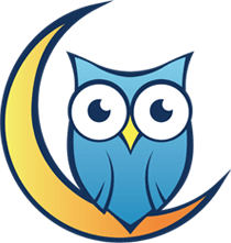 Night Owl T-Shirt Quilts